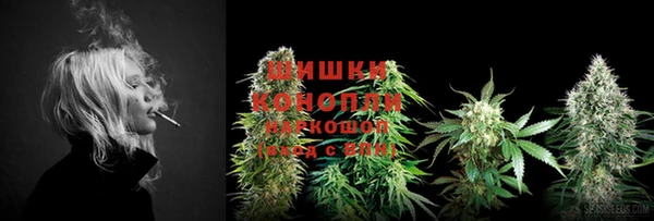 ешки Белокуриха