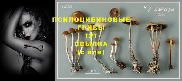 mdpv Белоозёрский