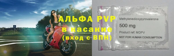 ешки Белокуриха