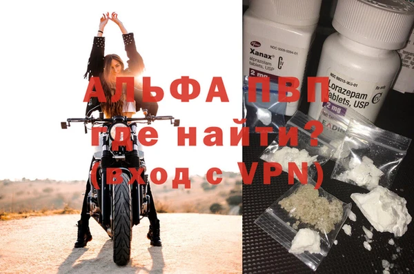 ешки Белокуриха