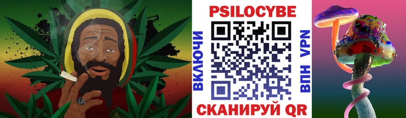 Псилоцибиновые грибы мицелий  Славгород 